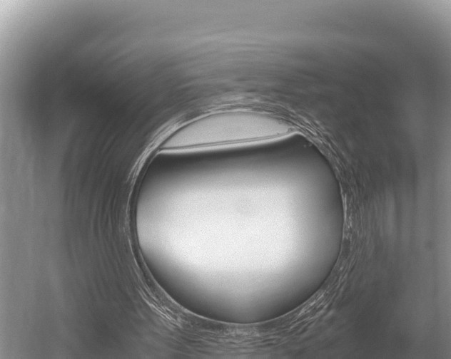 X0000059830099200510211032