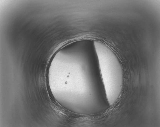 X0000059830100200510211032