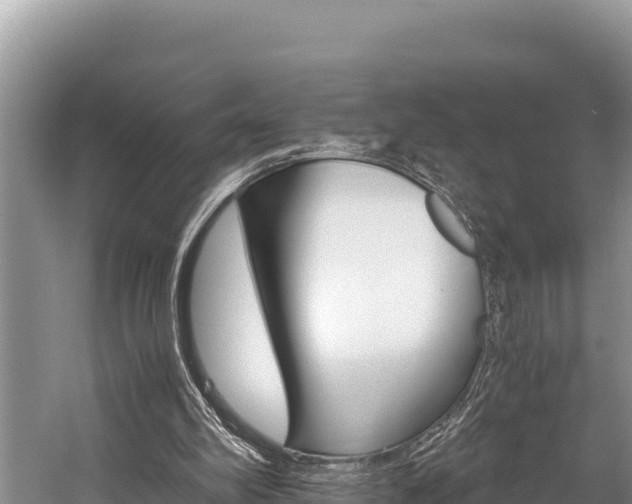 X0000059830102200510211032