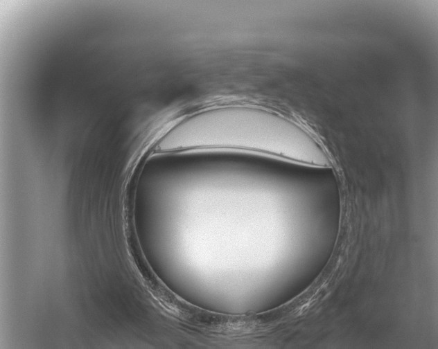 X0000059830103200510211032