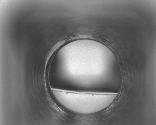 X0000059830104200510211032