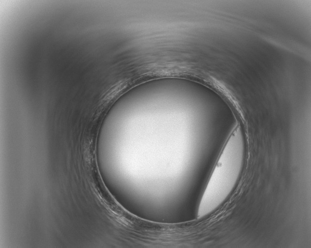 X0000059830105200510211032