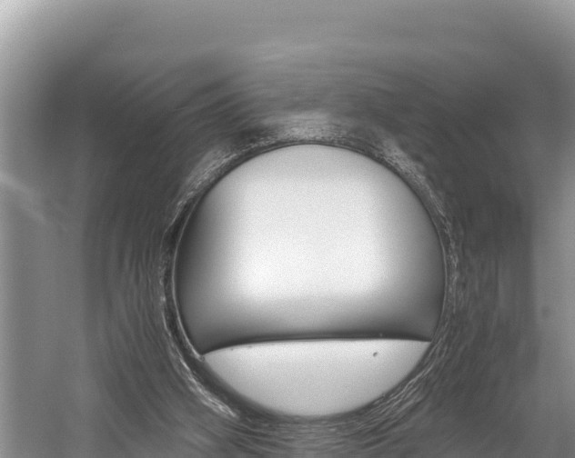 X0000059830106200510211032