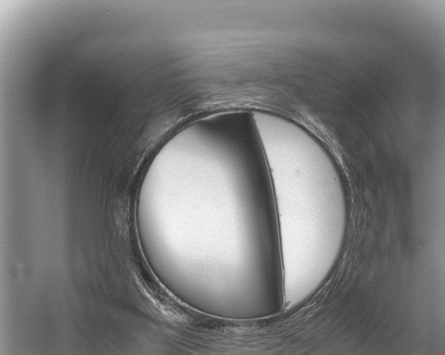 X0000059830107200510211032