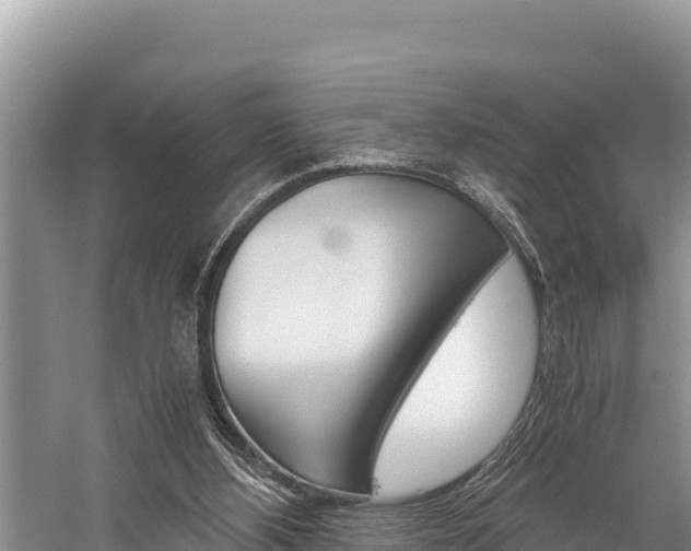 X0000059830108200510211032