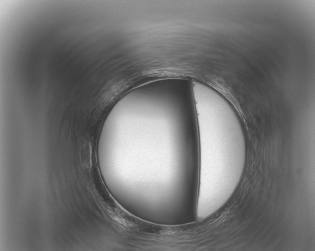 X0000059830109200510211032