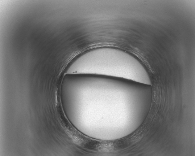 X0000059830110200510211032