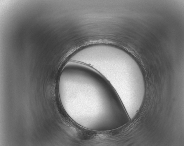 X0000059830111200510211032