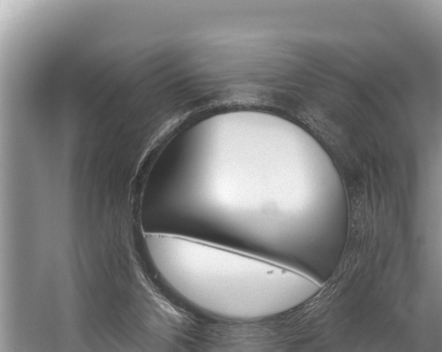 X0000059830112200510211032