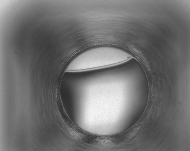 X0000059830113200510211032