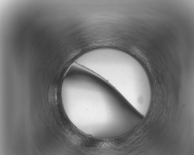 X0000059830115200510211032