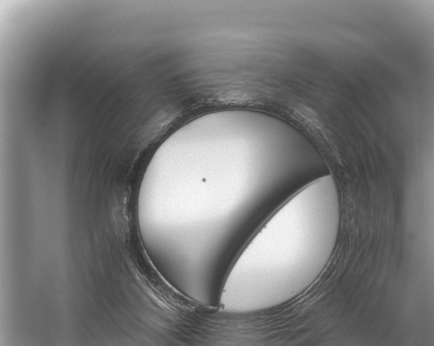 X0000059830116200510211032