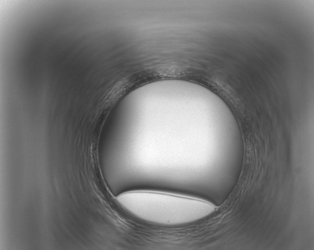 X0000059830117200510211032