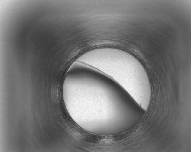 X0000059830119200510211032