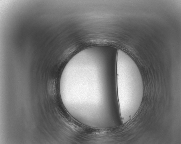 X0000059830120200510211032