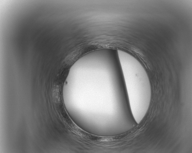 X0000059830121200510211032