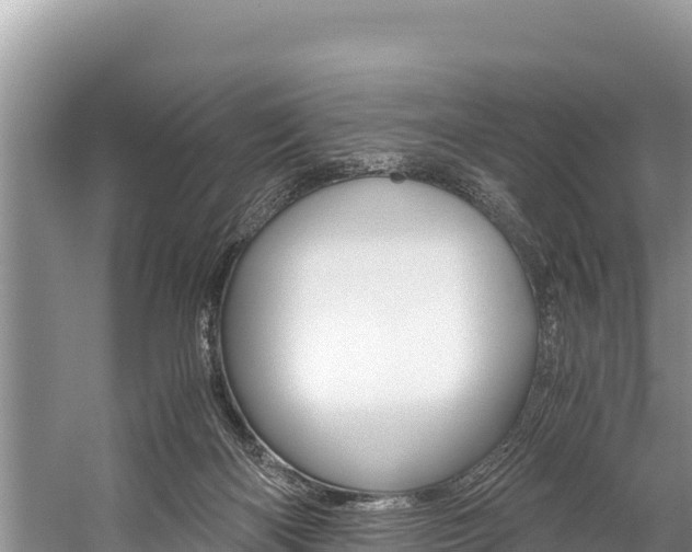 X0000059830122200510211032