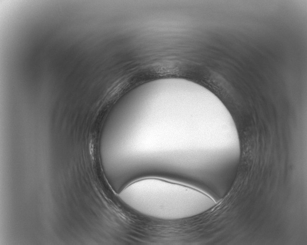 X0000059830124200510211032