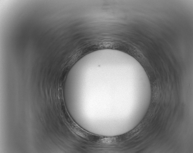 X0000059830126200510211032