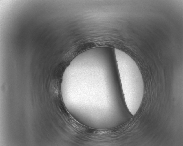 X0000059830129200510211032