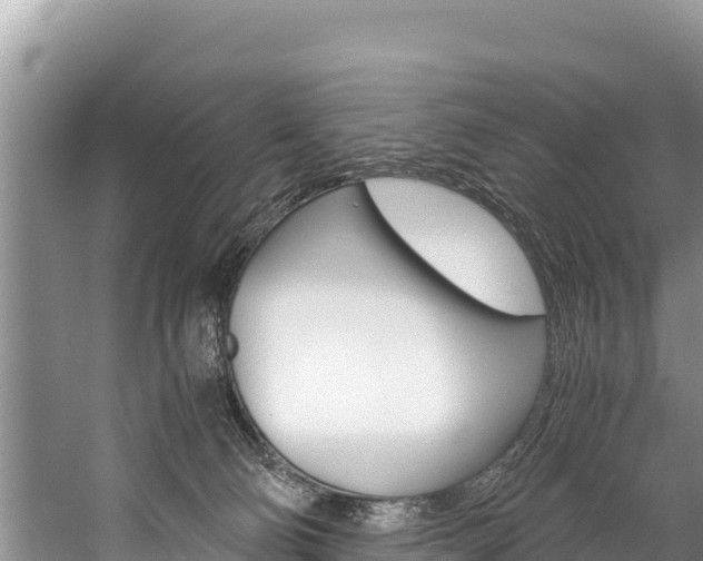 X0000059830130200510211032