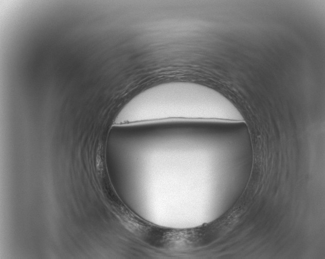 X0000059830131200510211032