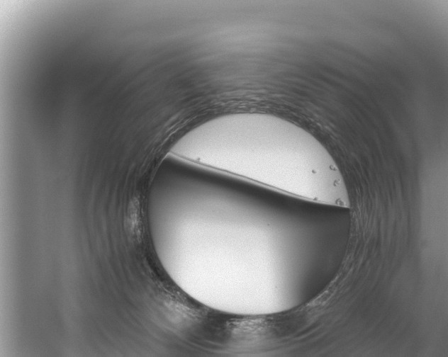 X0000059830132200510211032