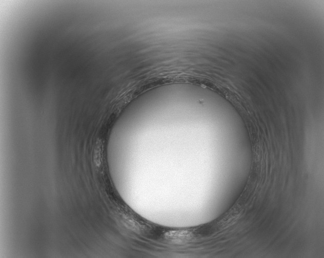 X0000059830133200510211032