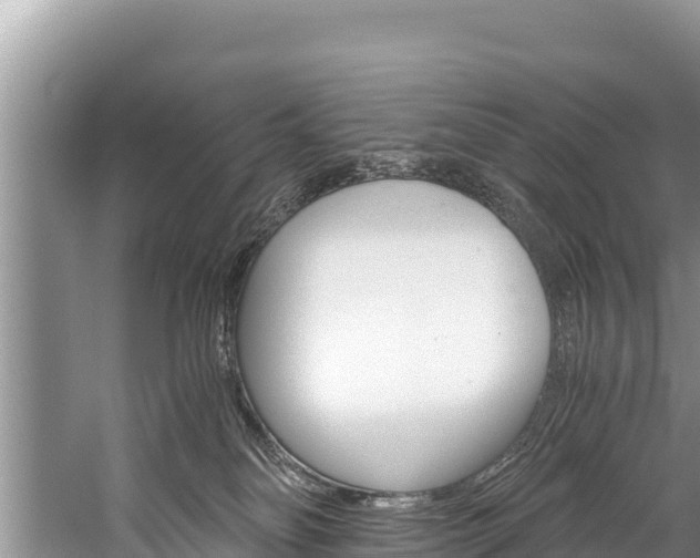 X0000059830134200510211032