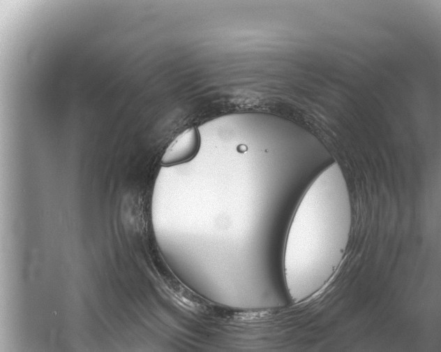 X0000059830136200510211032