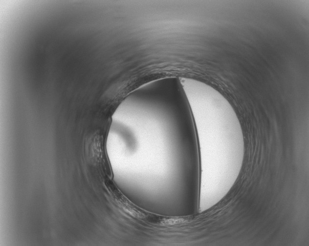 X0000059830137200510211031