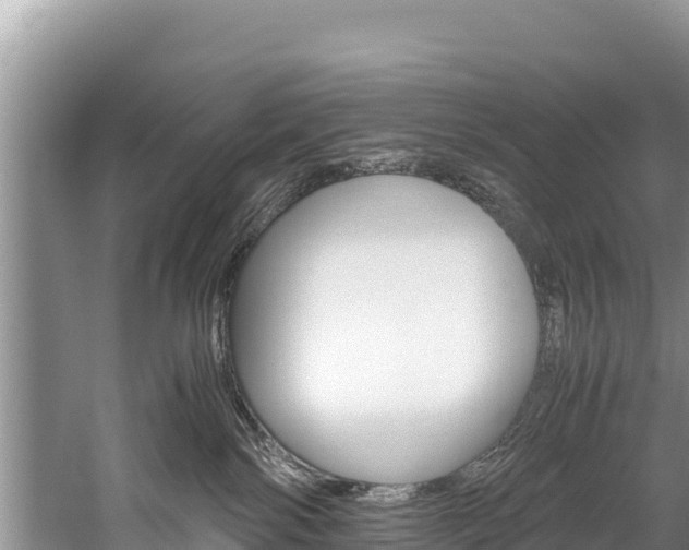 X0000059830138200510211031