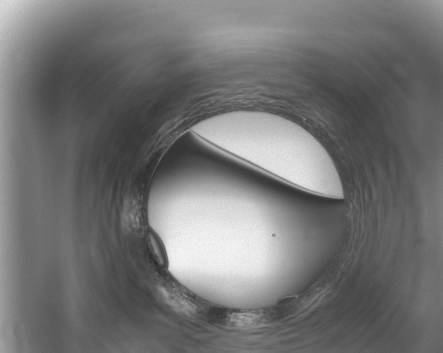 X0000059830139200510211031