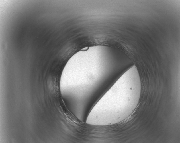 X0000059830140200510211031