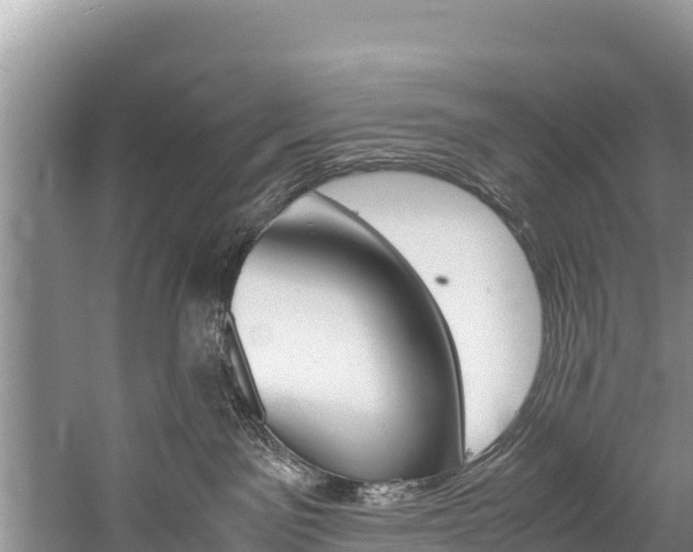 X0000059830141200510211031