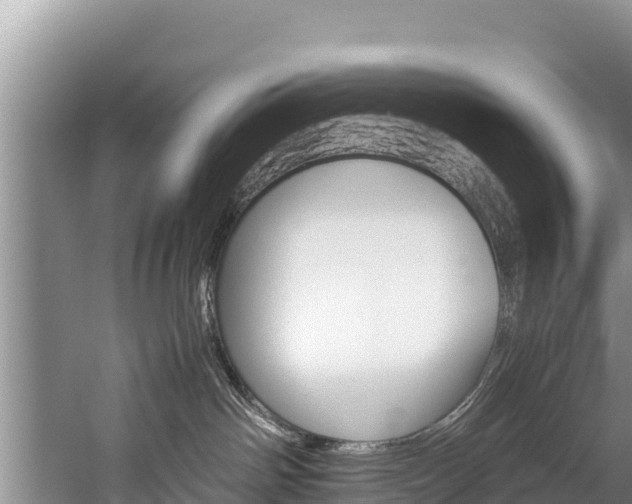 X0000059830142200510211031