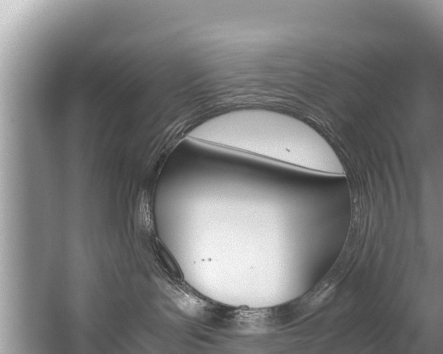 X0000059830143200510211031