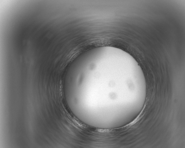 X0000059830144200510211031