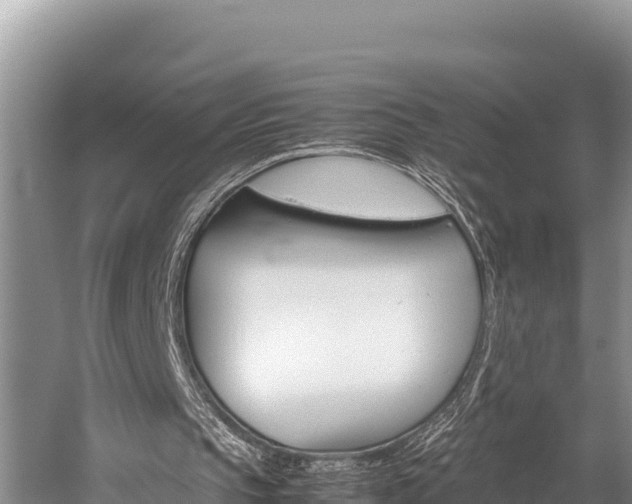 X0000059830145200510211031