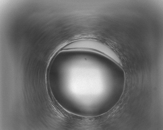 X0000059830148200510211031