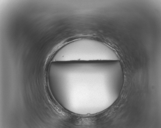 X0000059830149200510211031