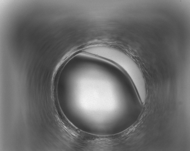 X0000059830150200510211031