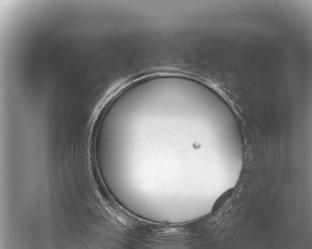 X0000059830151200510211031