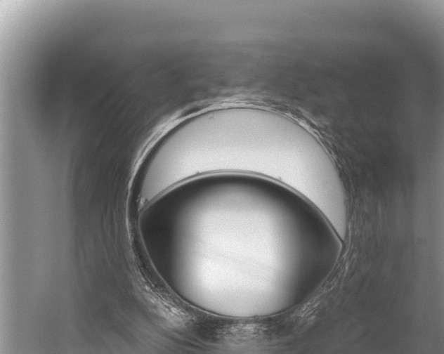 X0000059830152200510211031