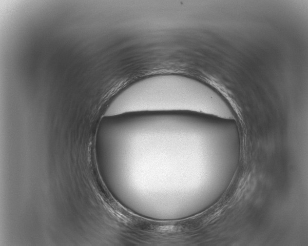 X0000059830153200510211031