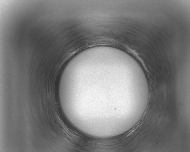 X0000059830154200510211031