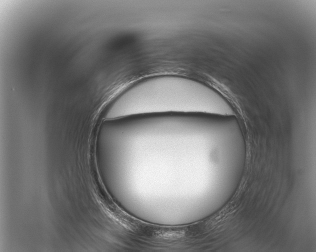 X0000059830155200510211031