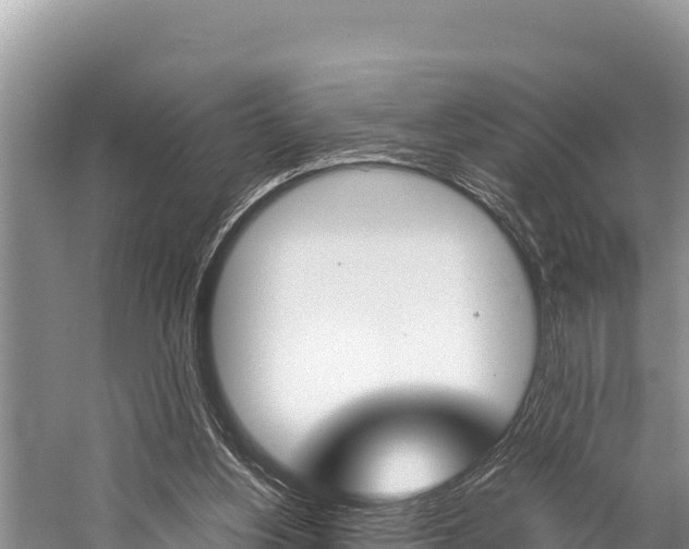 X0000059830156200510211031