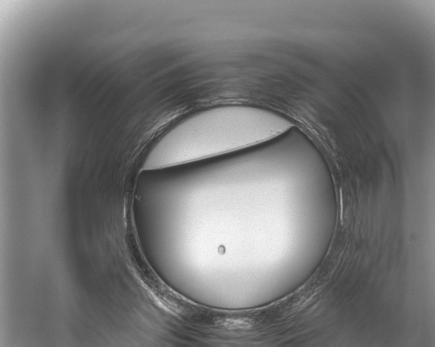 X0000059830157200510211031