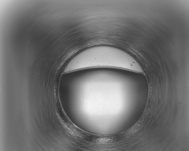 X0000059830158200510211031